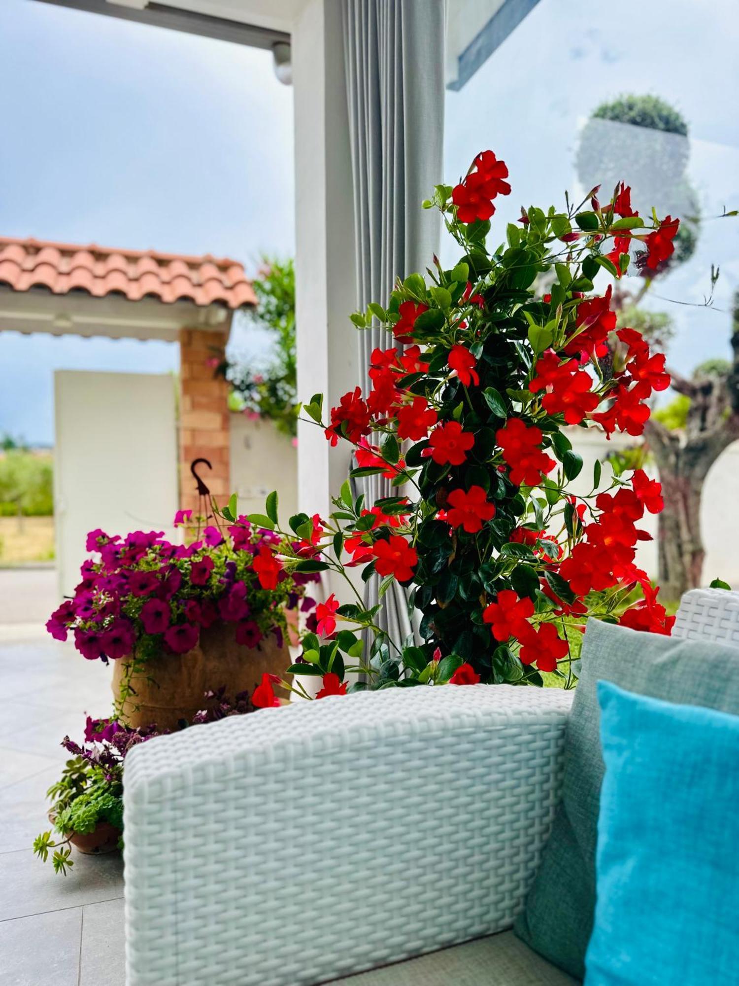 Invilla Bed&Breakfast - Quality Rooms Санта-Мария-ди-Кастеллабате Экстерьер фото